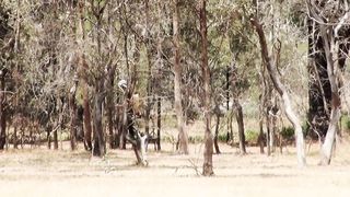 My naked neighbor in nature shows her pussy and tits. Does she look like a girl from your neighborhood