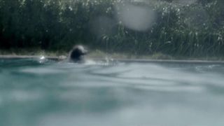 Aleksandra Szczepanowska nude - Touch (2020)