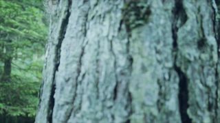 Maja Susa hot - Porodicni odmor (2020)