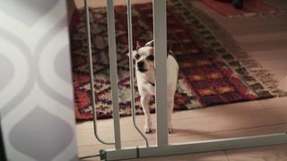 Emily Tremaine sexy - Mr. Corman s01e01 (2021) dressed sex scene