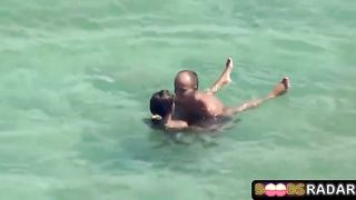 Wild duo is romping on the beach thinking that no one is observing them in act