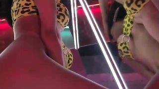 Smoking hot chick is posing in front of the camera and slowly taking off her clothes