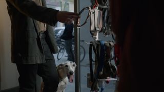 Claudia Vega topless - Merli. Sapere Aude s02e01 (2021) show Film Tv nudity in bathroom episode