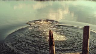 Die Toten von Marnow s01e01-04 (2021) Petra Schmidt-Schaller topless