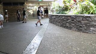 Her boobs fall out of her sundress as she brushes her hair in public.