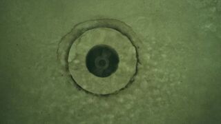 Cristina Rodlo - No One Gets Out Alive (2021) Hot Actress Movie Scene