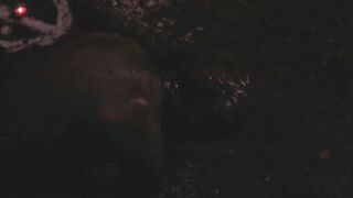 Lily Telford, Robin Carolyn Parent, Savannah Whitten - Lillith (2019) Hot Actress Scenes