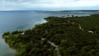 Mallory Hargrove - Bull Shark (2022) Naked Scene