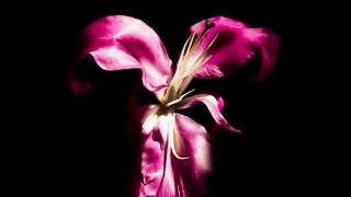 Barbara Lopez, etc -Señorita 89 s01e06 (2022) Lesvbian TV Show