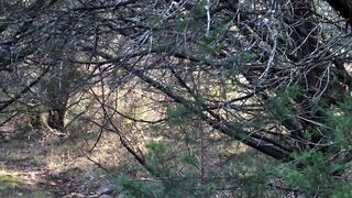 Chick from the Woods Hidden Cam Completely Bare Yoga Loosening