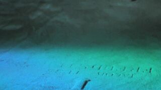 Daniela Doria - The House by the Cemetery (1981) topless scene