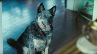 Monic Hendrickx - Unfinished Sky (2007) naked scene