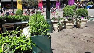 Breasts out switching my tee-shirt on a active Manhattan street!