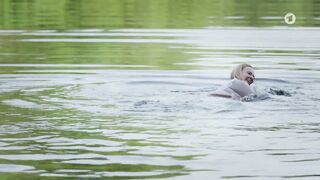 Silke Bodenbender naked - Check out (2022)