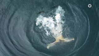 Silke Bodenbender naked - Check out (2022)