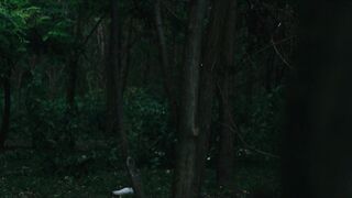 Ioana Bugarin - Miracle (Miracol) (2021) Topless Scene from the movie