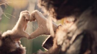 Pia Tjelta, Sarah Dawn Finer Diorama,Sara Shirpey - Diorama (2022) Naked Scene from the movie