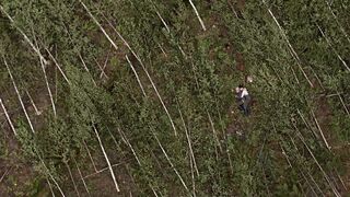 Oona Airola - Oma maa (2018) Sexy Scene from the movie