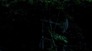 Natsuko Kobayashi - Birdsong (2019) Naked Scene from the movie