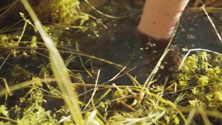 Eleonora Jodkowska naked - The Dawn (2021) full frontal nudity scenes