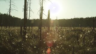 Eleonora Jodkowska naked - The Dawn (2021) full frontal nudity scenes