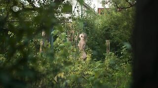 Nina Gummich nude - Theresa Wolff Waidwund (2022)