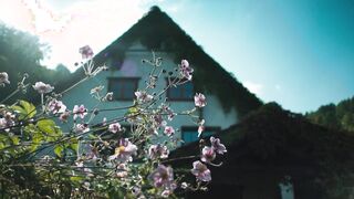 Nina Gummich nude - Theresa Wolff Waidwund (2022)