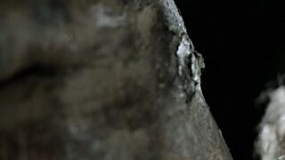 Valeria Golino topless - Greenpeace (2013) horror nude scene