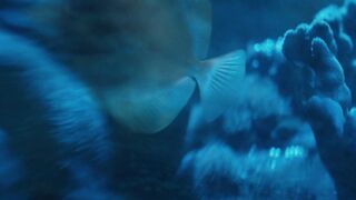 Natalia Jedrus nude - Sortownia s01e06 (2023) lusty orgy TV scene