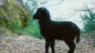 Camille Berthomier nude- Astrakan (2022) topless short scene