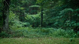 Louise Manteau naked - Wolfkin (2022) Explicit Nude & Sex Scene