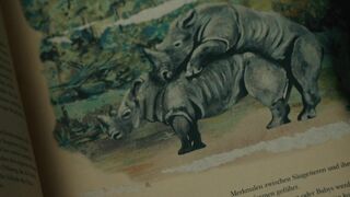 Amalia Kassai hot - A Place Called Dignity (2021) sex scene