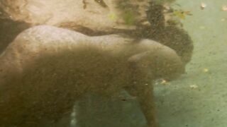 Itzel Sarmientos nude - Un lejano rumor de agua (2020) Underwater Nudity Scene