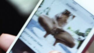 An amateur modeling shoot Jessyca Oliveira naked - Jessyca (2020)