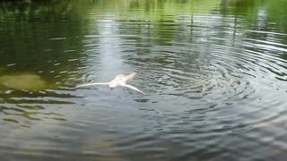 Florence Janas naked - Les Rosiers Grimpants (2016) French Erotic