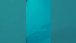 Maïwenn Le Besco nude, Estelle Lefébure naked - Le bal des actrices (2009) Underwater nudity movie scene