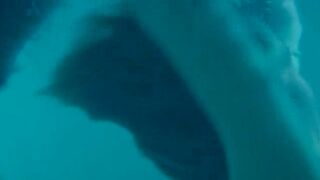 Maïwenn Le Besco nude, Estelle Lefébure naked - Le bal des actrices (2009) Underwater nudity movie scene