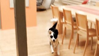 Sabine Marcus naked - Brief eines Unbekannten (2005) classic nudity movie scene