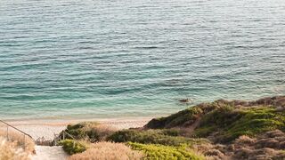 Elena Kampouris sexy - My Big Fat Greek Wedding 3 (2023) hot beach scene