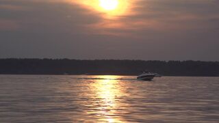 Nudity Art Videotape ☉ Silicone Sea