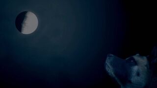 Naked Art Footage ❣️ Magical Forest