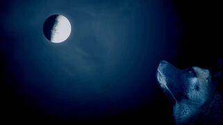 Naked Art Footage ❣️ Magical Forest