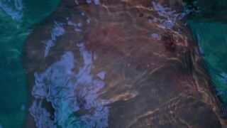 Erotic Art Story ☉ Cool Water, Cold Body