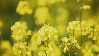 Naked Outdoors ❣️ Milking Models