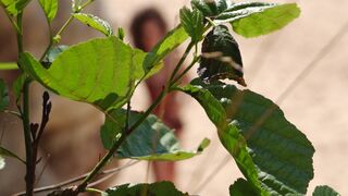 Topless Videotape Lady ❣️ In the Beach