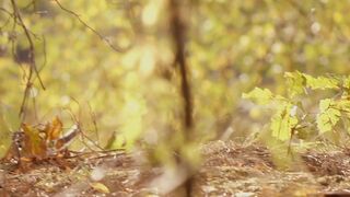 Topless Art Shooting ❣️ Autumn Nocturne