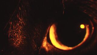 Topless Art Videoshoot ❤️ 2 Sexual CloseUp