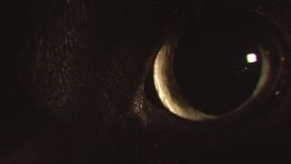 Topless Art Videoshoot ❤️ 2 Sexual CloseUp