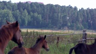 Topless Art Story ❥ Nudity Lady and Milk Tits