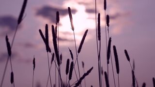 Topless Art Story ❥ Nudity Lady and Milk Tits